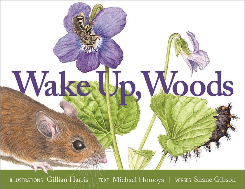 Vorderes Coverbild Wake Up, Woods