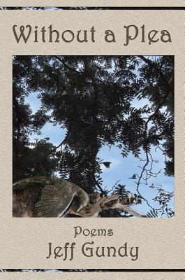 Vorderes Coverbild Without a Plea