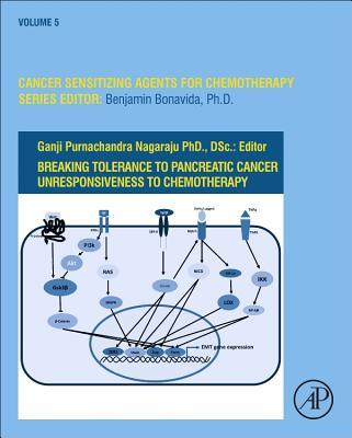 Vorderes Coverbild Breaking Tolerance to Pancreatic Cancer Unresponsiveness to Chemotherapy