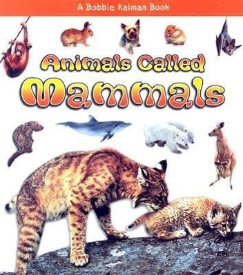 Vorderes Coverbild Animals Called Mammals