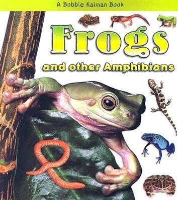 Vorderes Coverbild Frogs and Other Amphibians