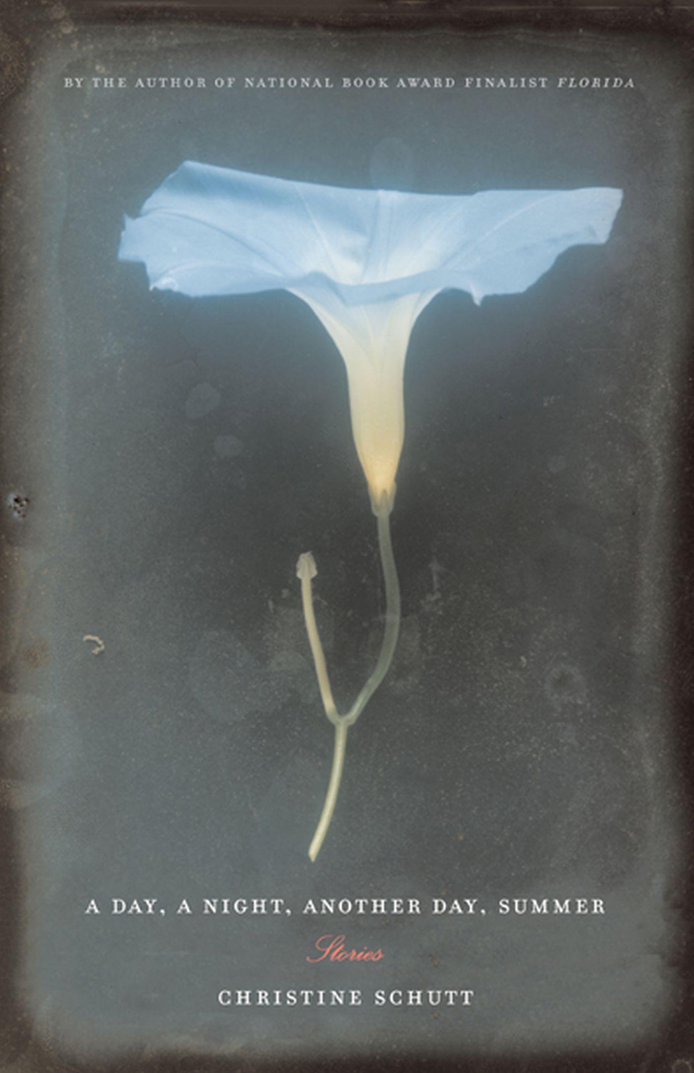 Vorderes Coverbild A Day, a Night, Another Day, Summer