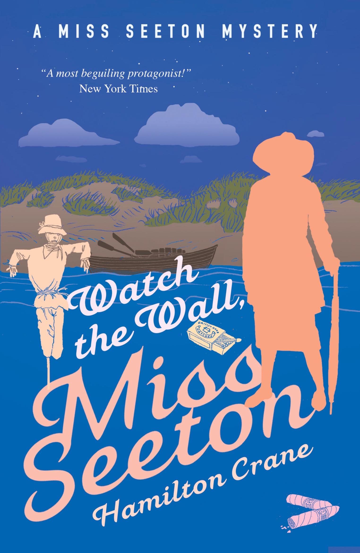 Vorderes Coverbild Watch the Wall, Miss Seeton