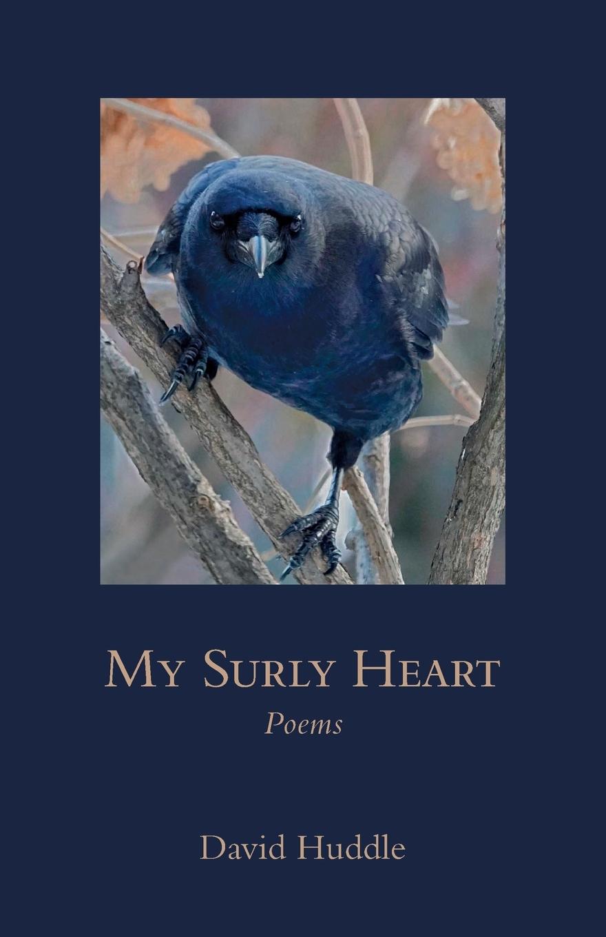 Vorderes Coverbild My Surly Heart