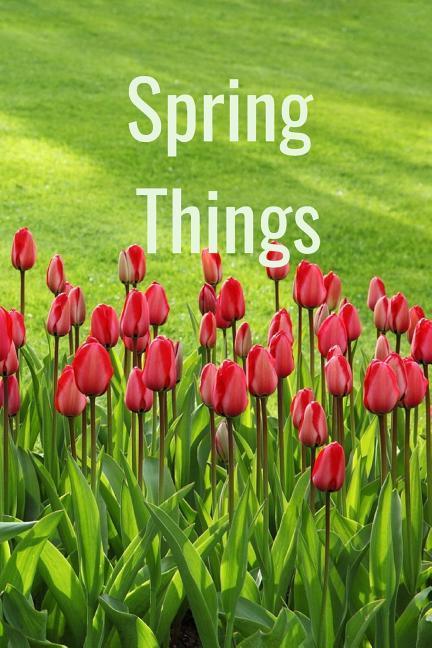 Vorderes Coverbild Spring Things