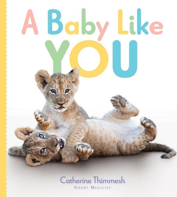 Vorderes Coverbild A Baby Like You