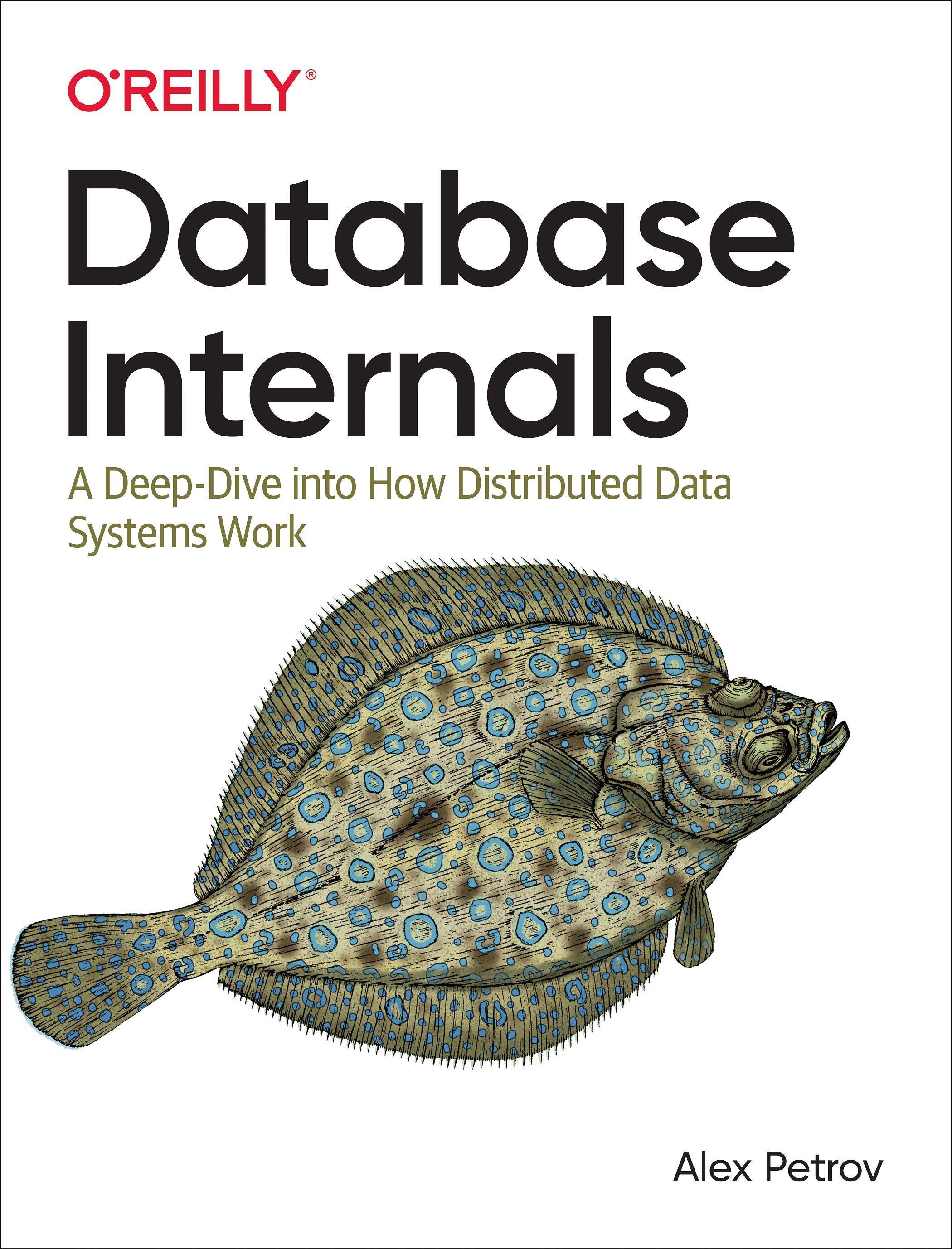 Vorderes Coverbild Database Internals