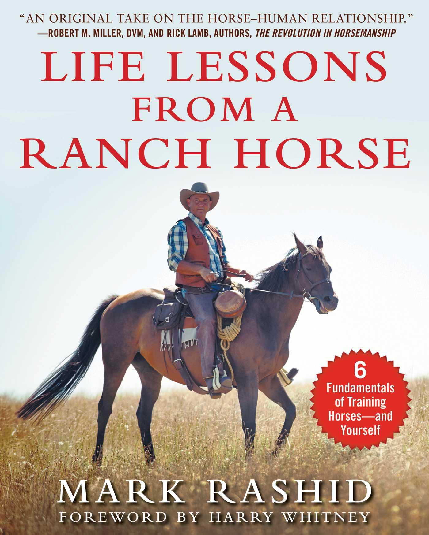 Vorderes Coverbild Life Lessons from a Ranch Horse