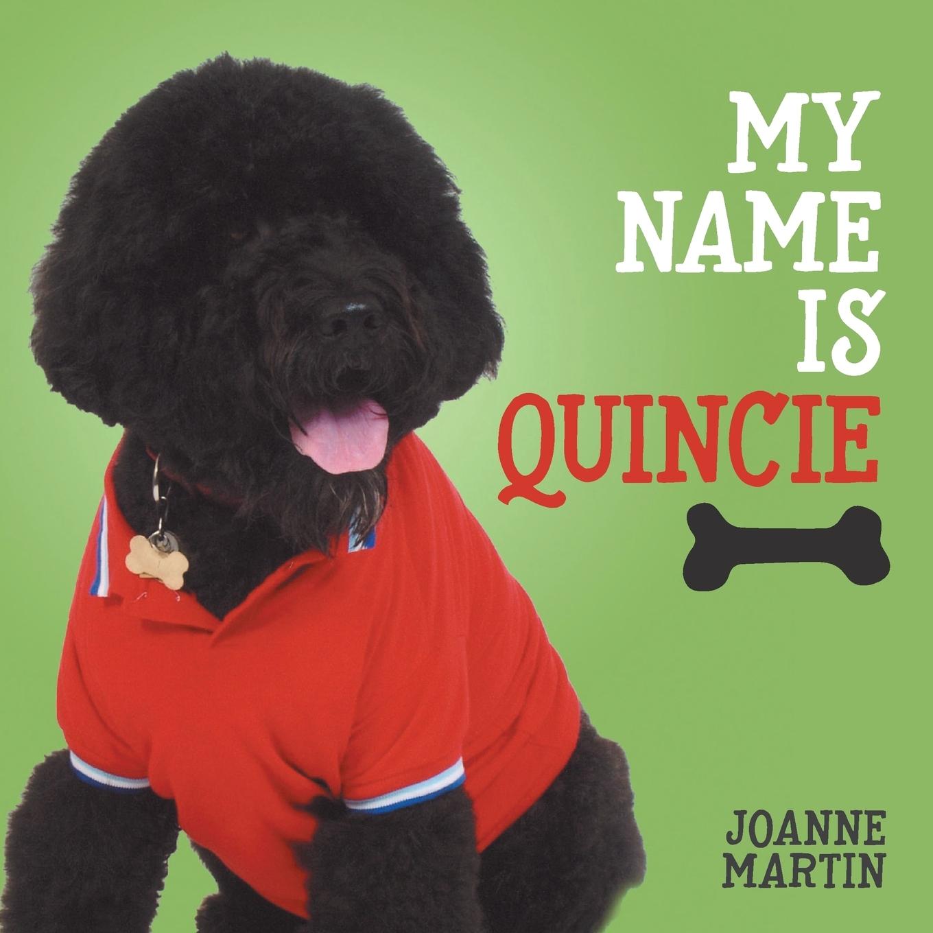 Vorderes Coverbild My Name is Quincie