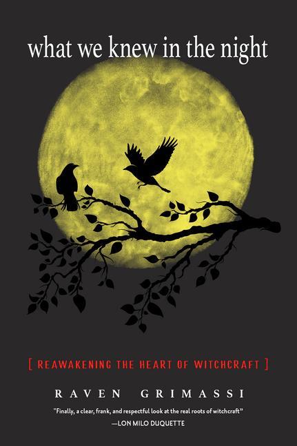 Vorderes Coverbild What We Knew in the Night
