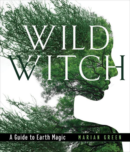 Vorderes Coverbild Wild Witch