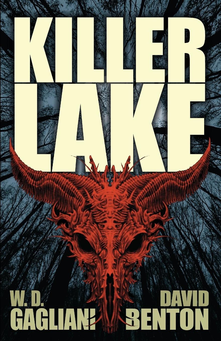 Vorderes Coverbild Killer Lake