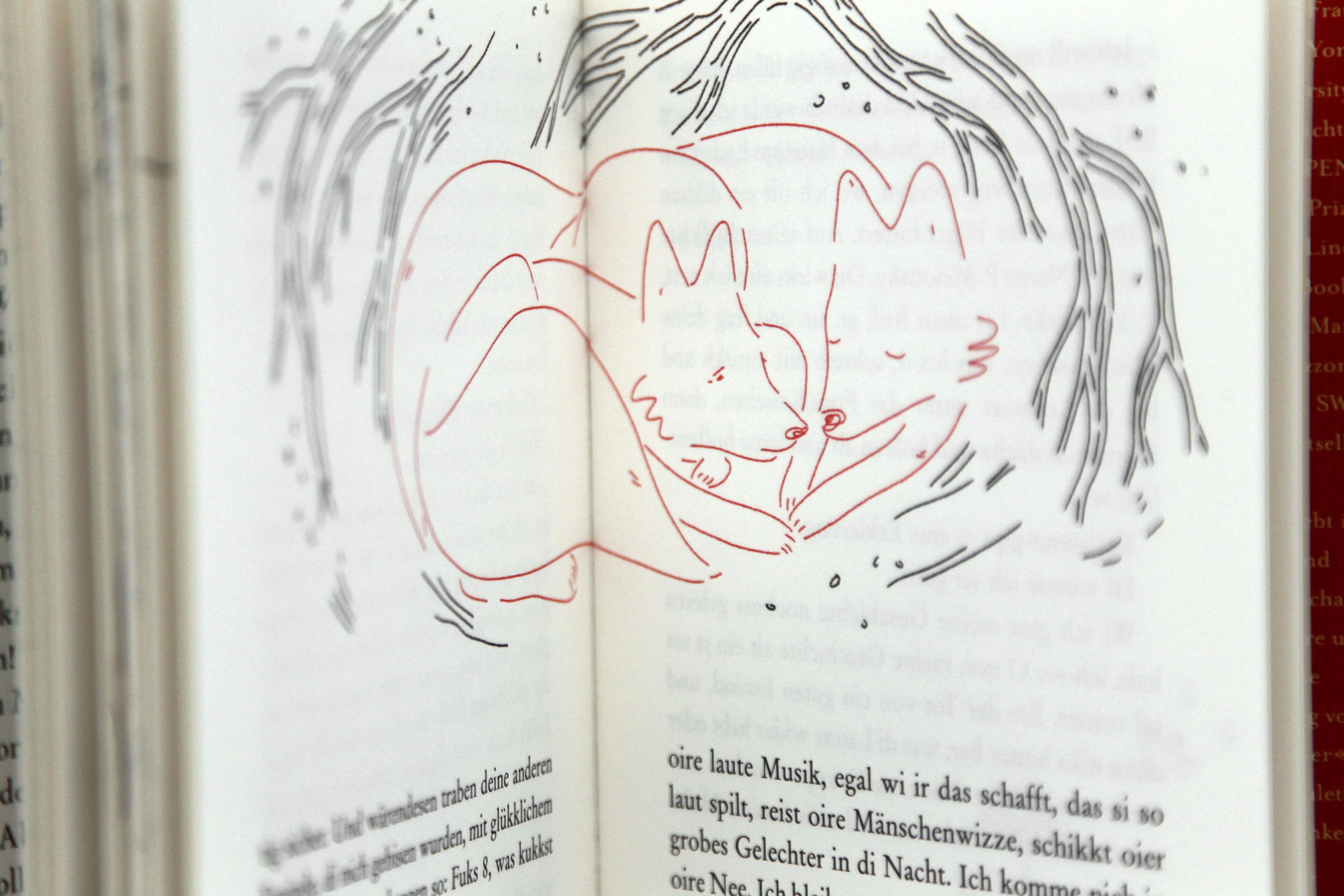 Beispielinhalt (Bild) Fuchs 8