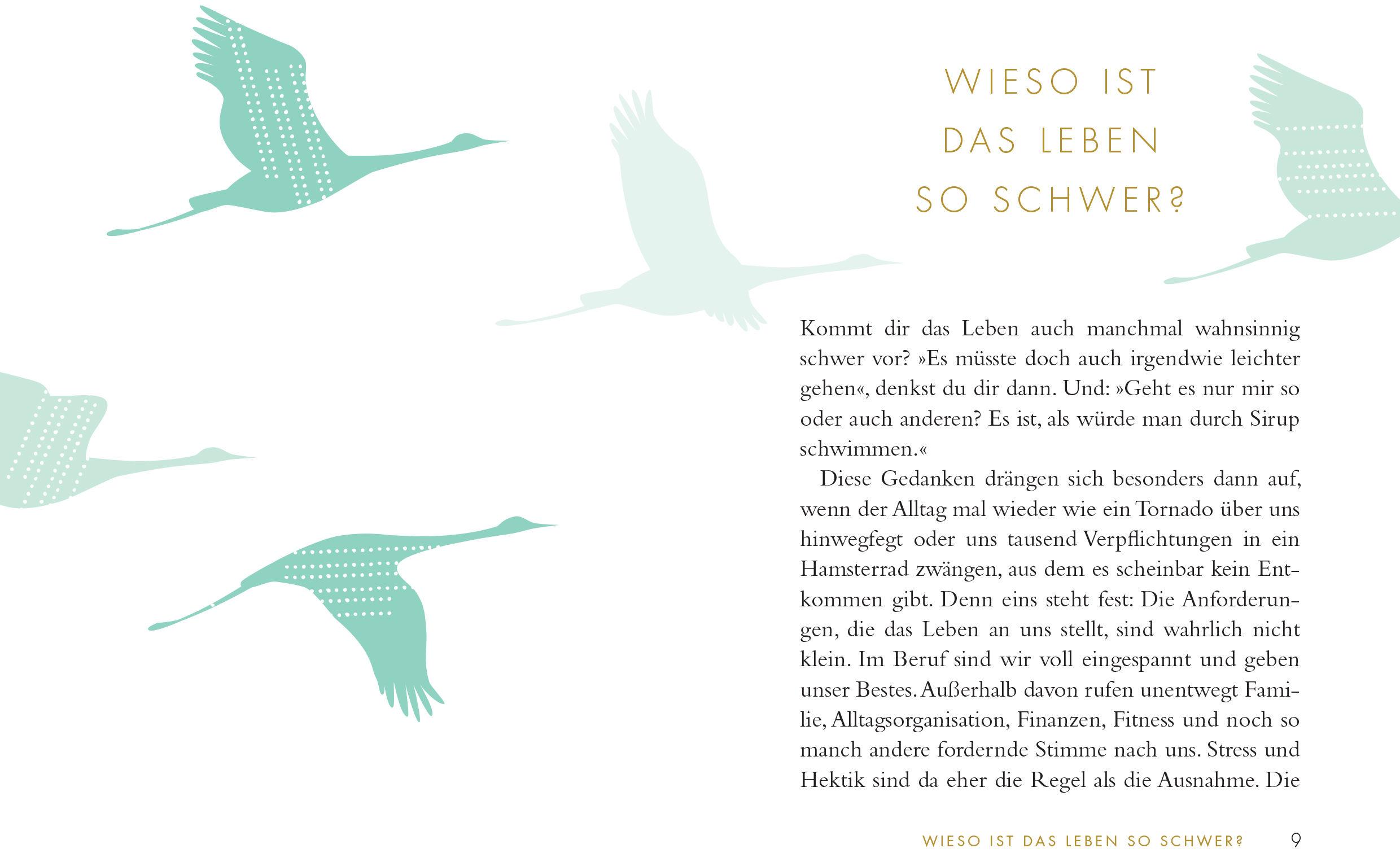 Beispielinhalt (Bild) Das kleine Buch vom leichten Leben