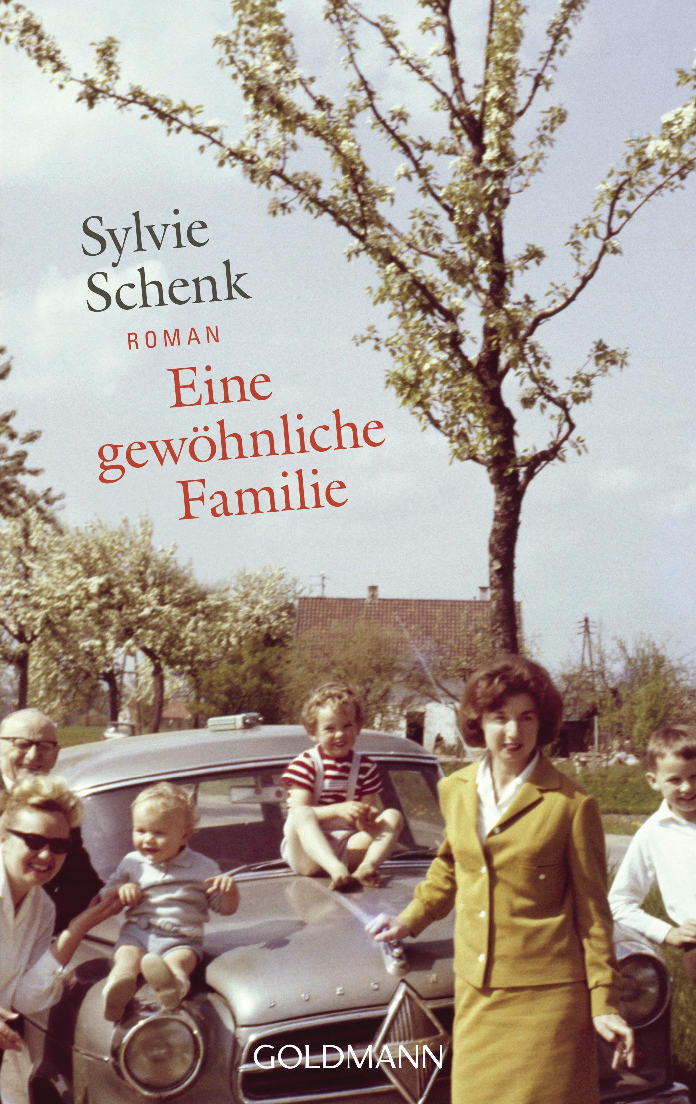 Vorderes Coverbild Eine gewöhnliche Familie