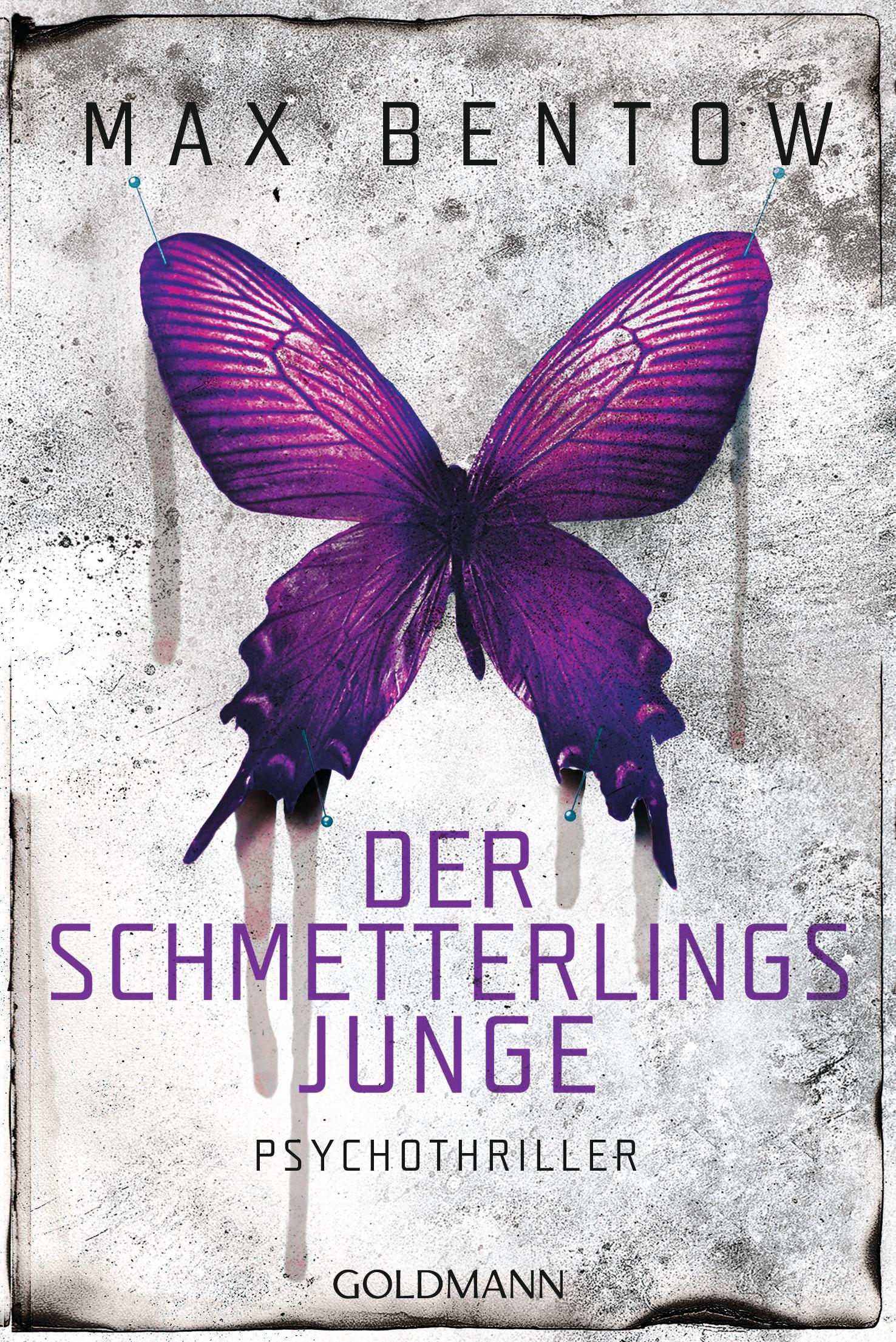 Vorderes Coverbild Der Schmetterlingsjunge