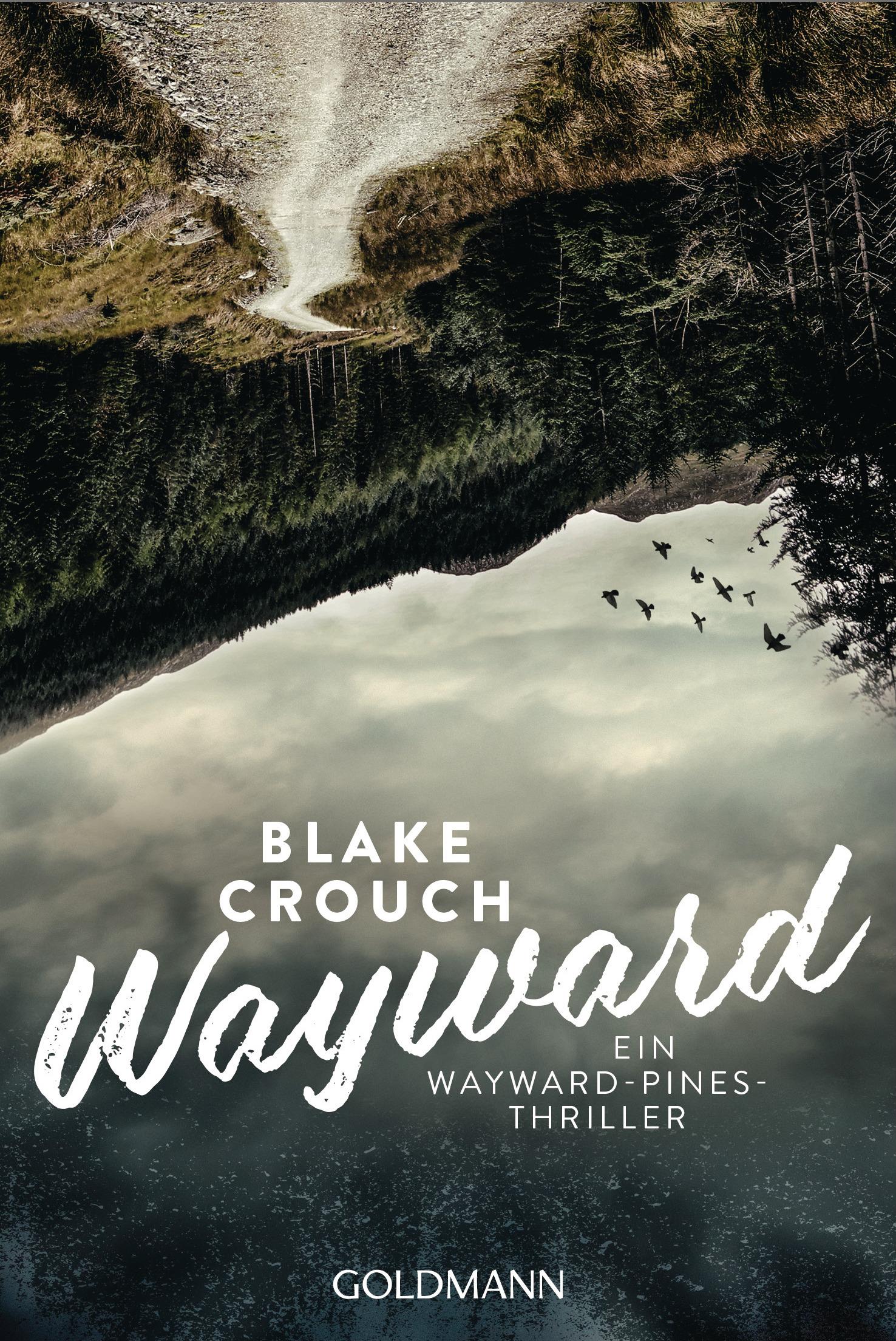 Vorderes Coverbild Wayward