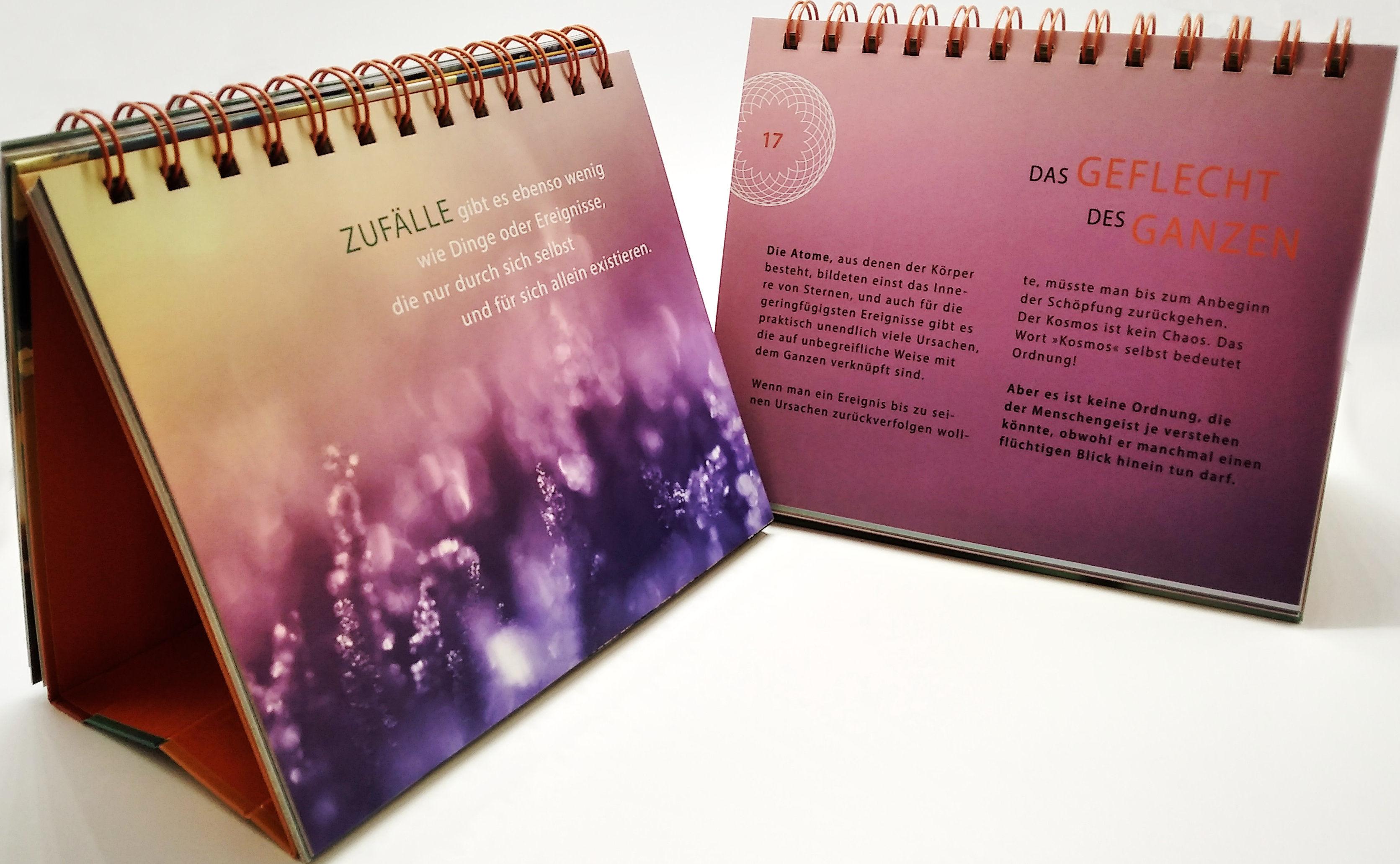 Beispielinhalt (Bild) Schönheit erblüht im Jetzt