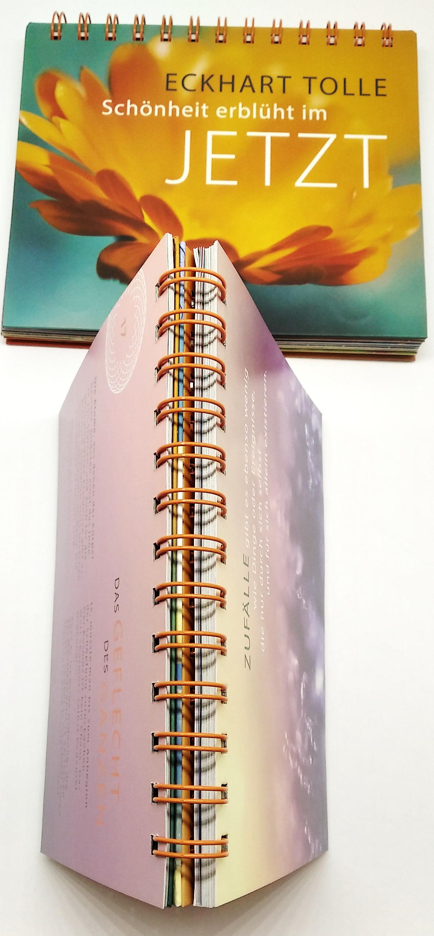 Beispielinhalt (Bild) Schönheit erblüht im Jetzt