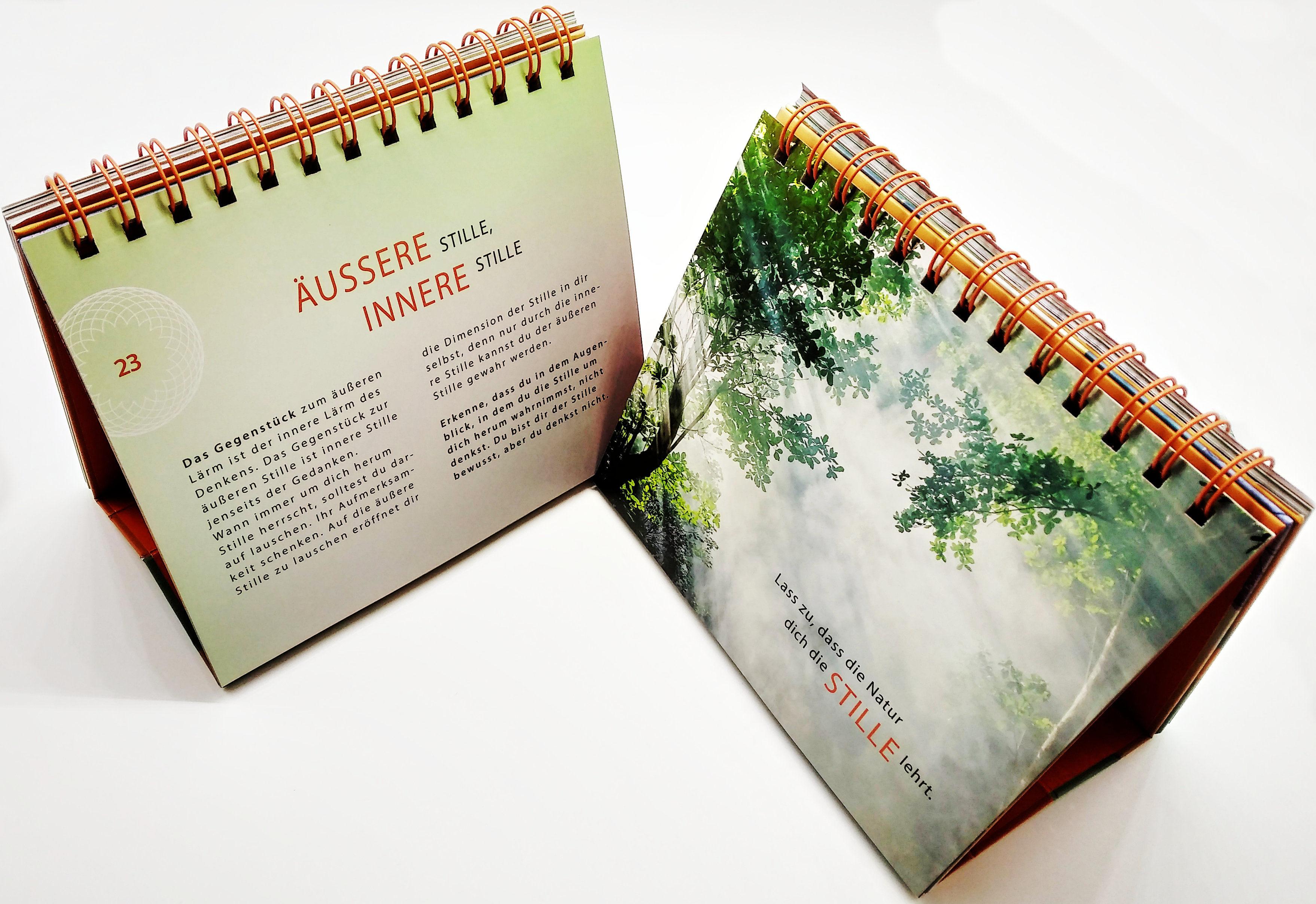 Beispielinhalt (Bild) Schönheit erblüht im Jetzt