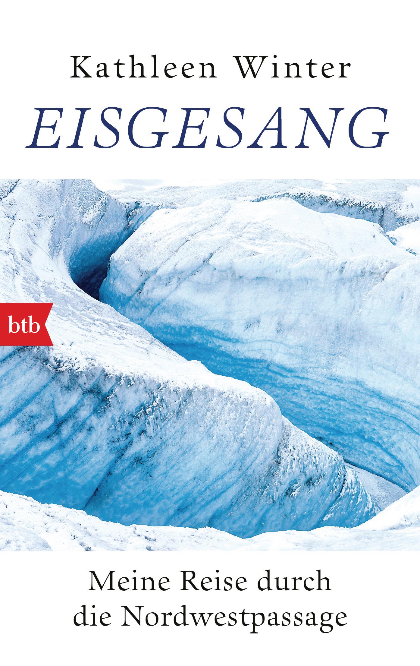 Vorderes Coverbild Eisgesang