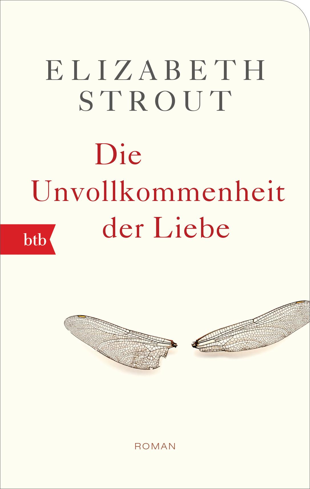 Vorderes Coverbild Die Unvollkommenheit der Liebe