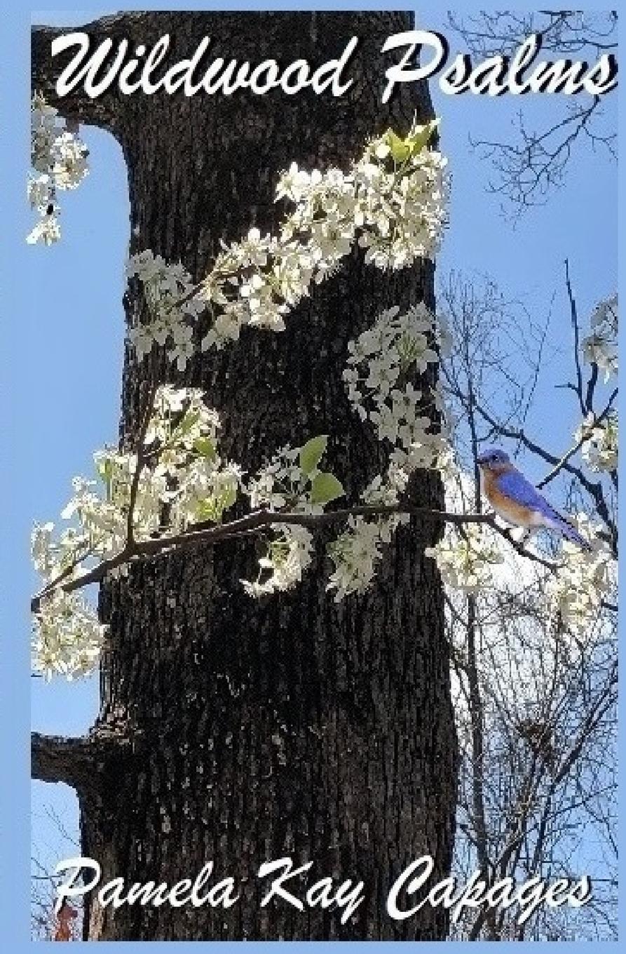 Vorderes Coverbild WILDWOOD PSALMS