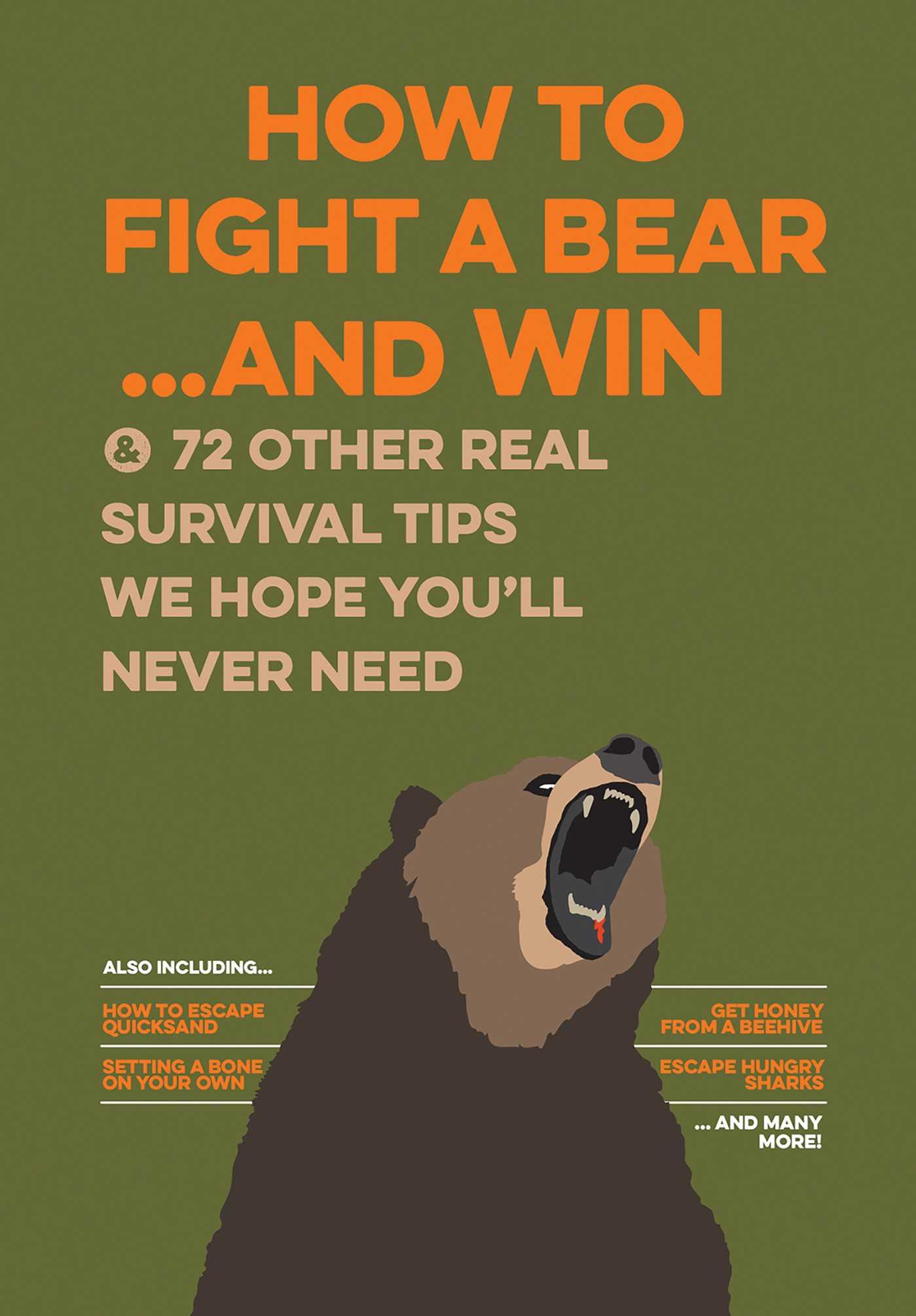 Vorderes Coverbild How to Fight a Bear...and Win