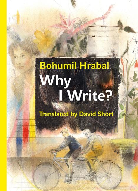 Vorderes Coverbild Why I Write?
