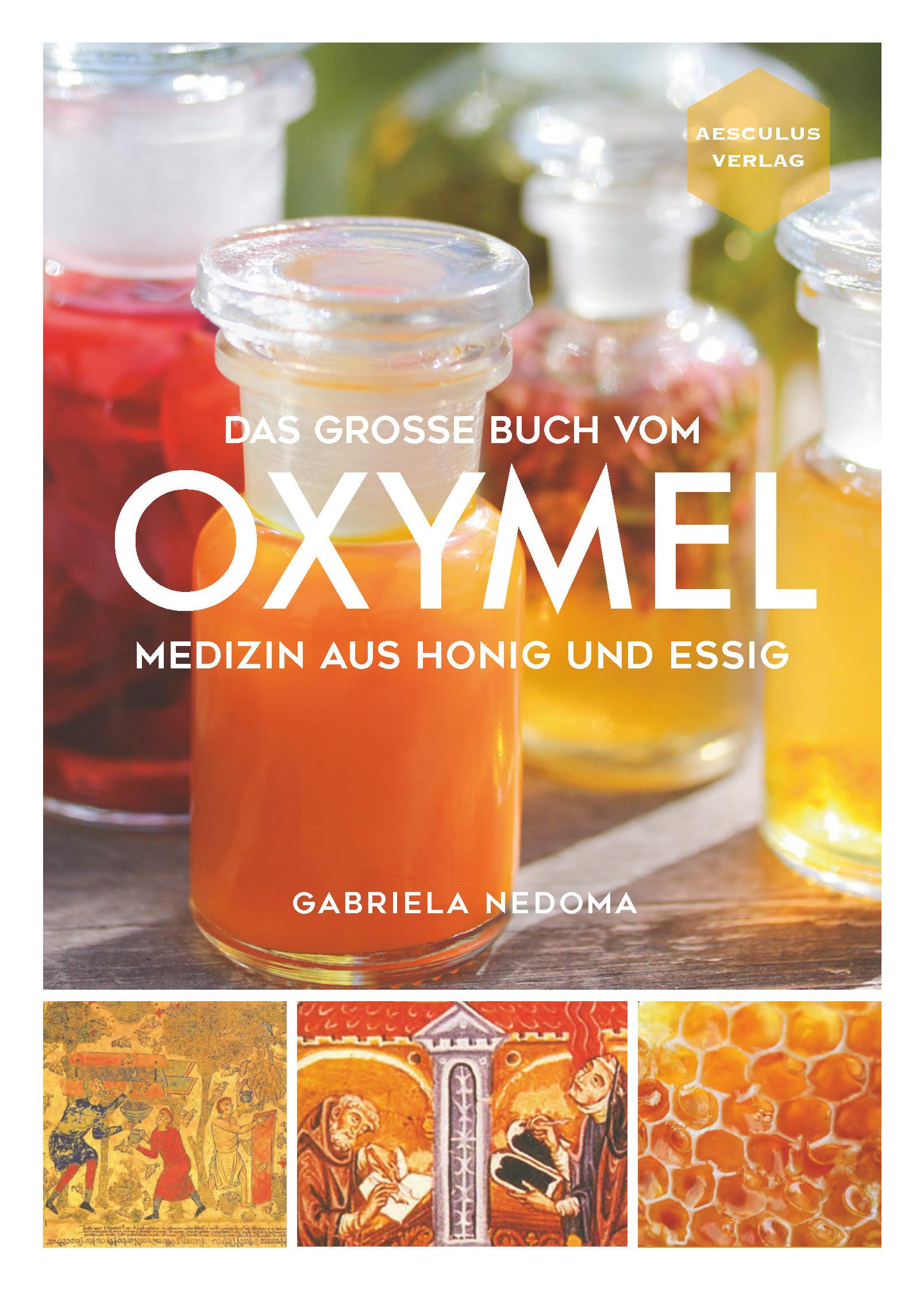 Vorderes Coverbild Das große Buch vom OXYMEL