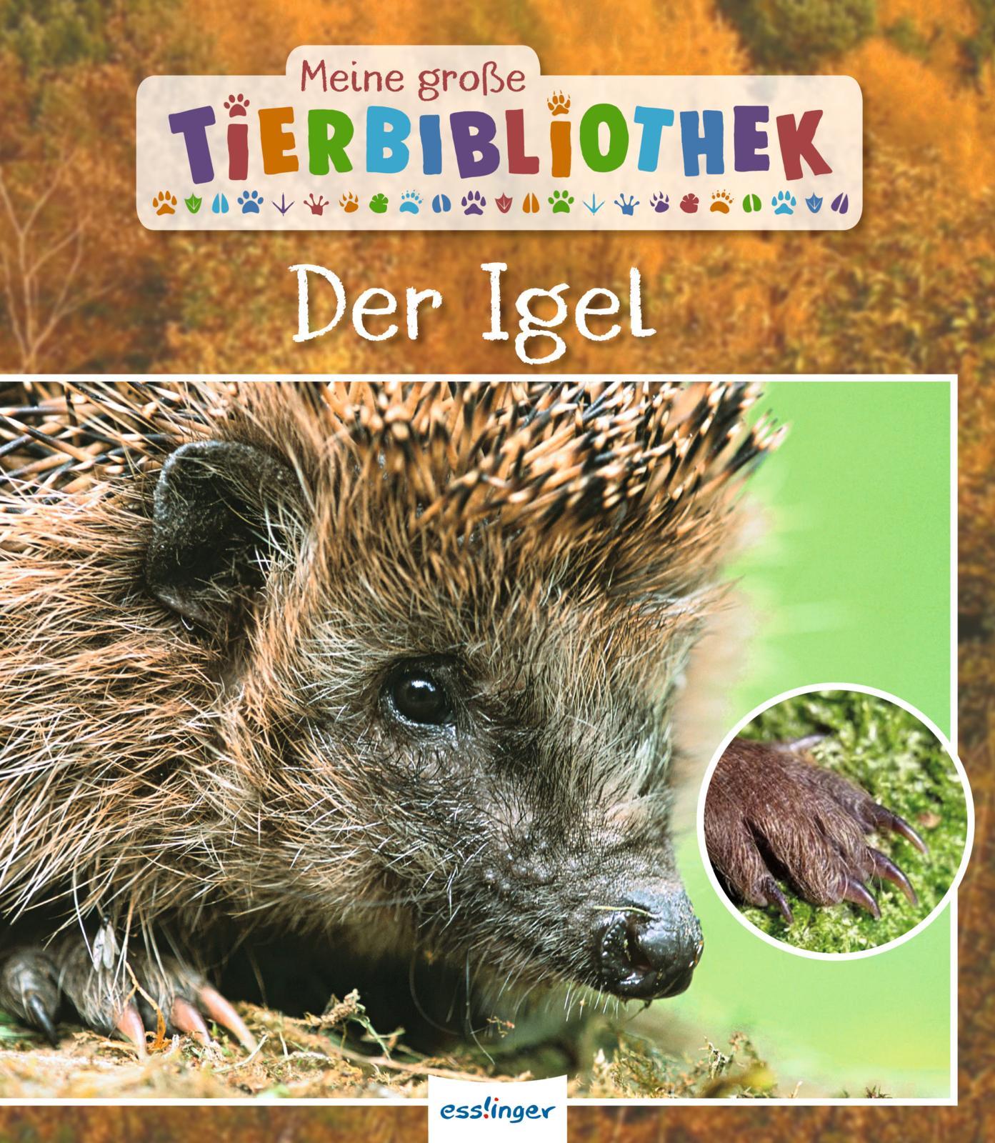 Vorderes Coverbild Meine große Tierbibliothek: Der Igel