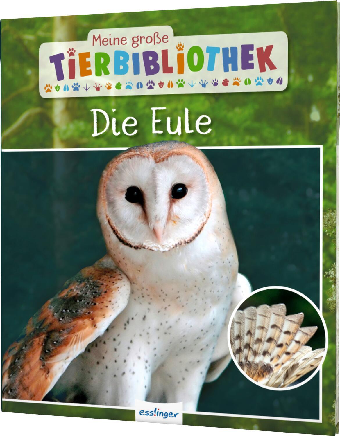 Vorderes Coverbild Meine große Tierbibliothek: Die Eule