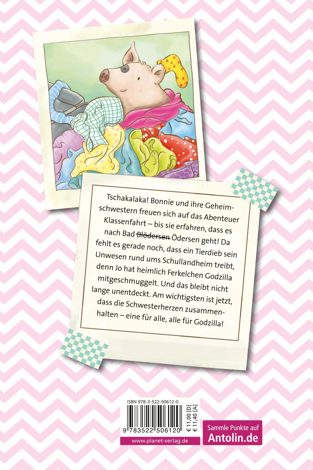 Rückseitencover Schwesterherzen 2: Auf Klassenfahrt