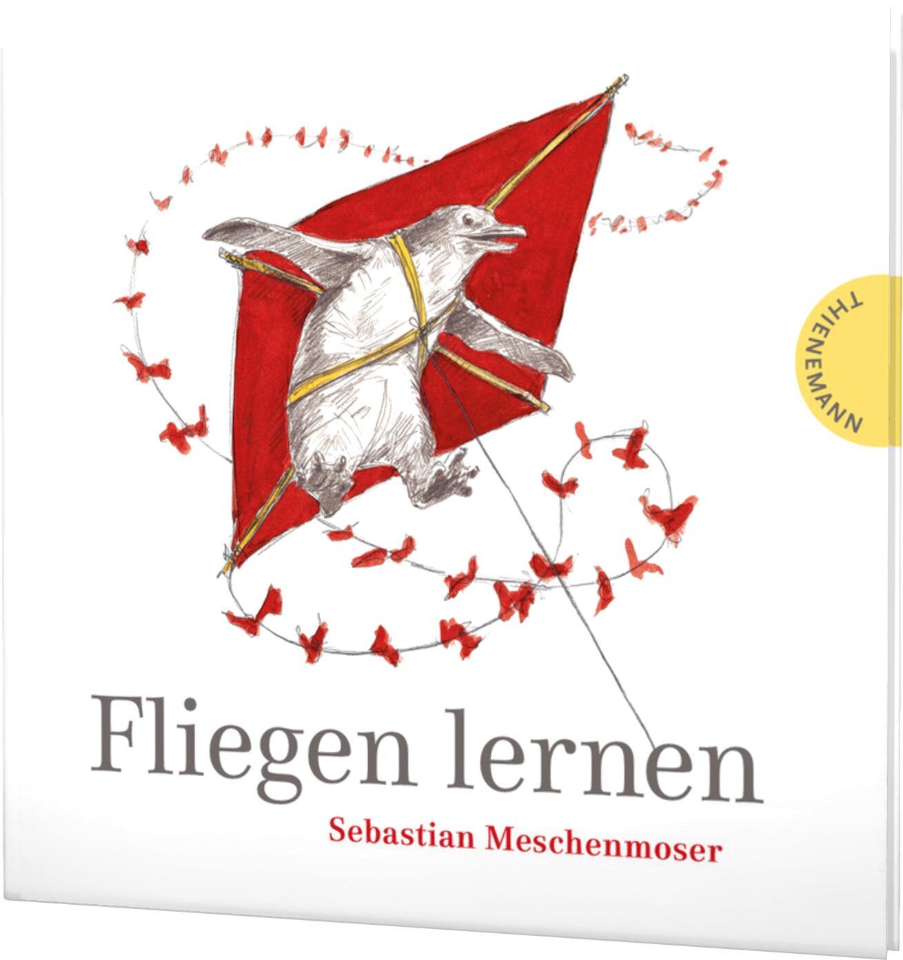 Vorderes Coverbild Fliegen lernen