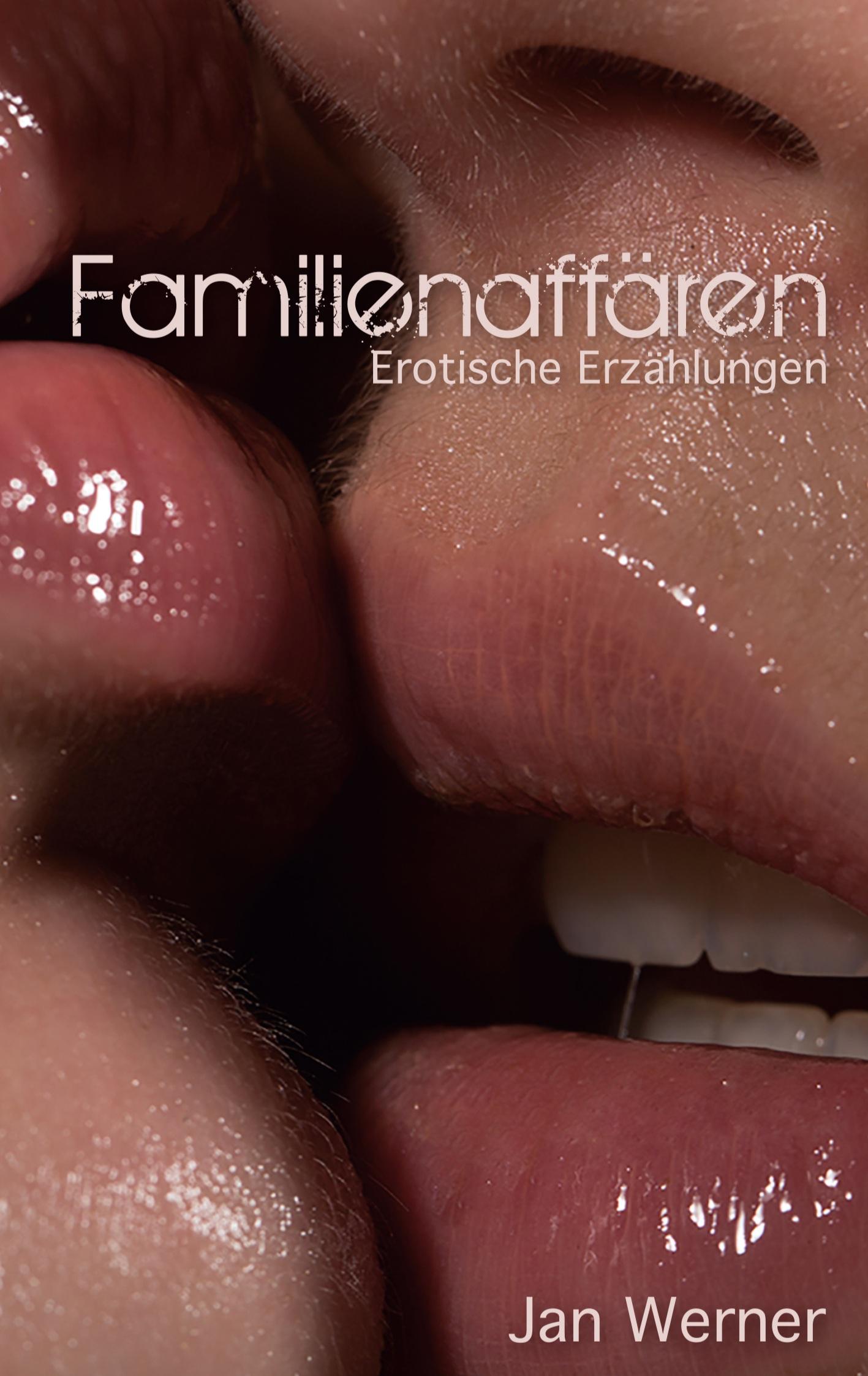 Vorderes Coverbild Familienaffären
