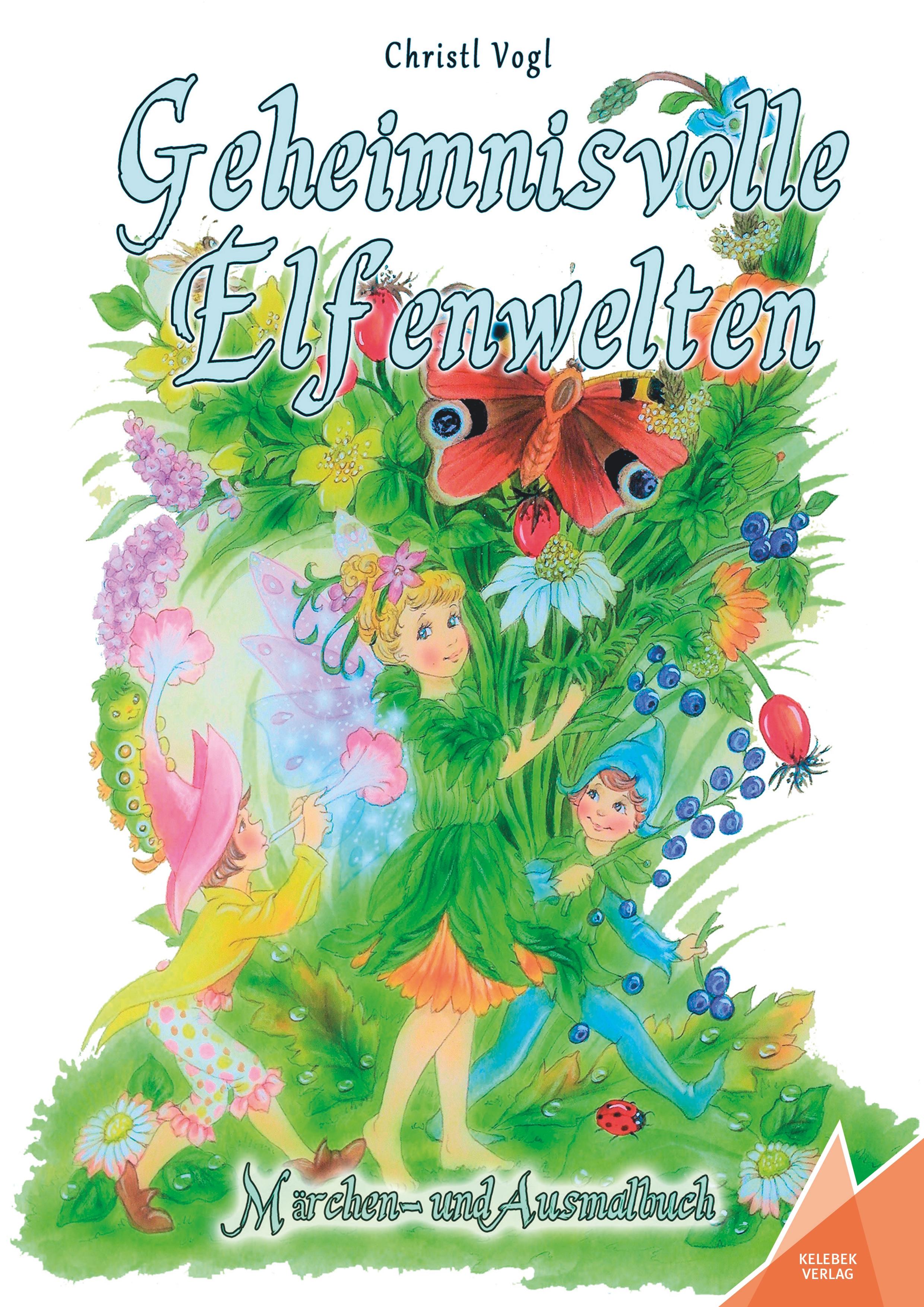 Vorderes Coverbild Geheimnisvolle Elfenwelten