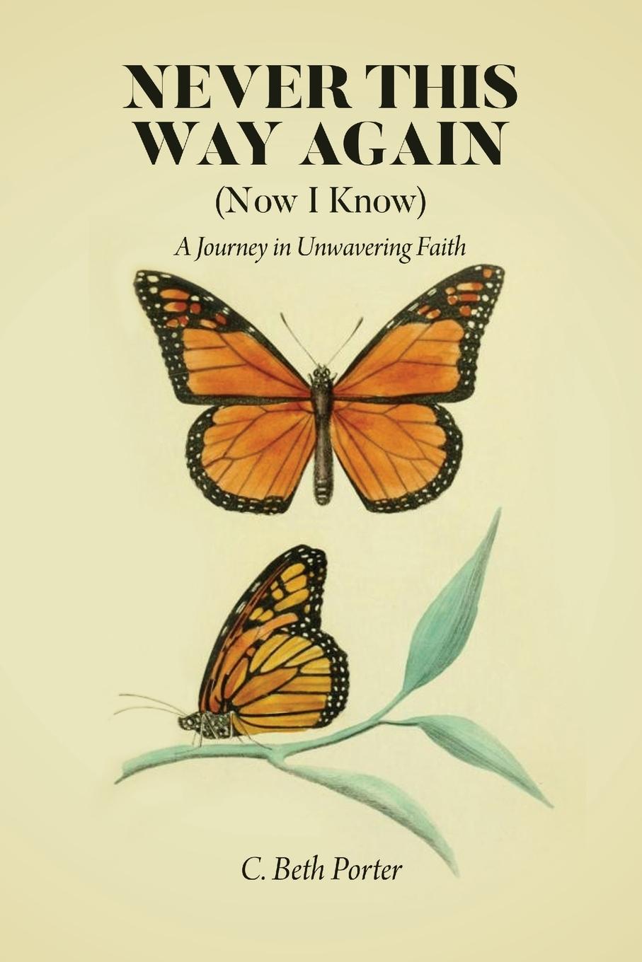 Vorderes Coverbild Never This Way Again