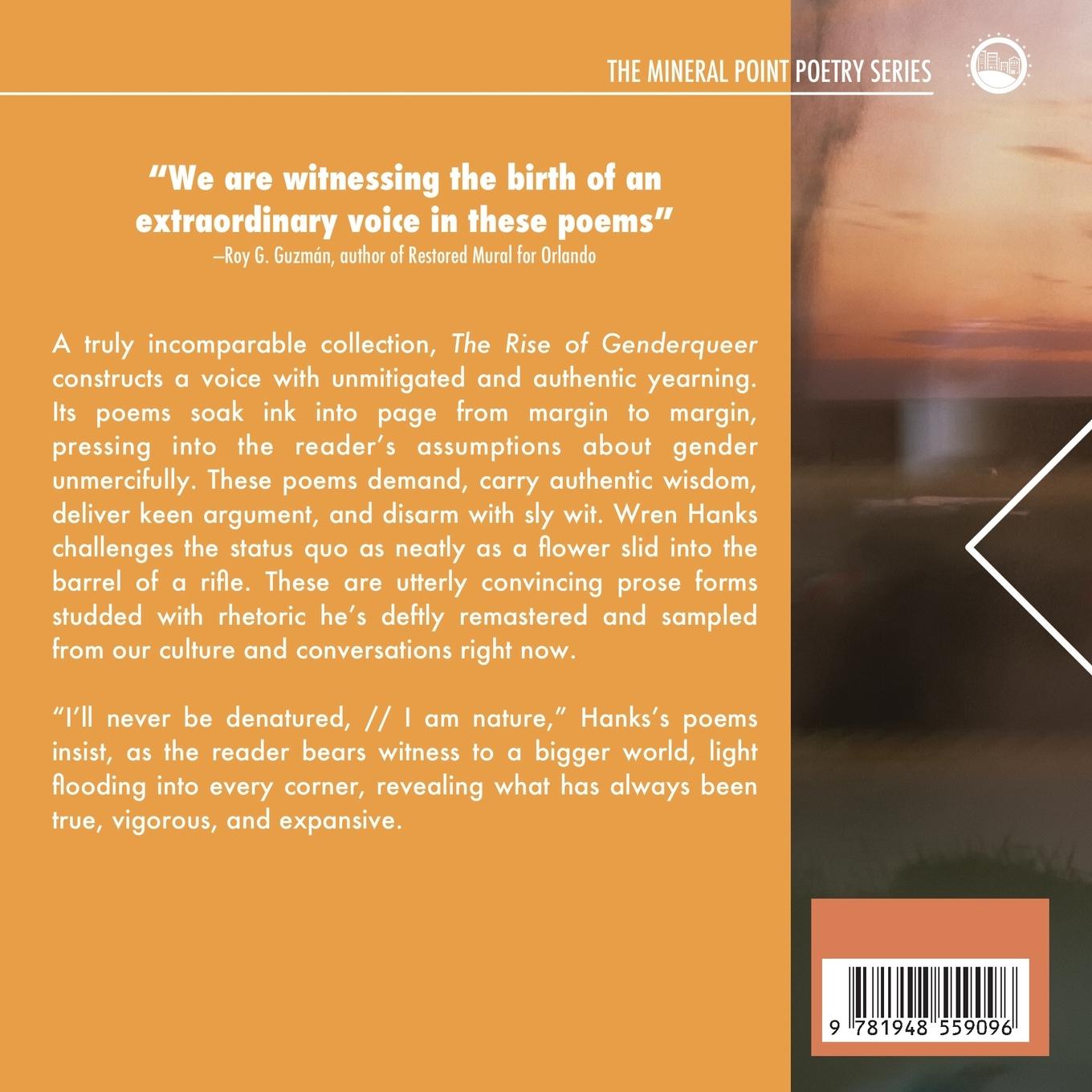Rückseitencover The Rise of Genderqueer