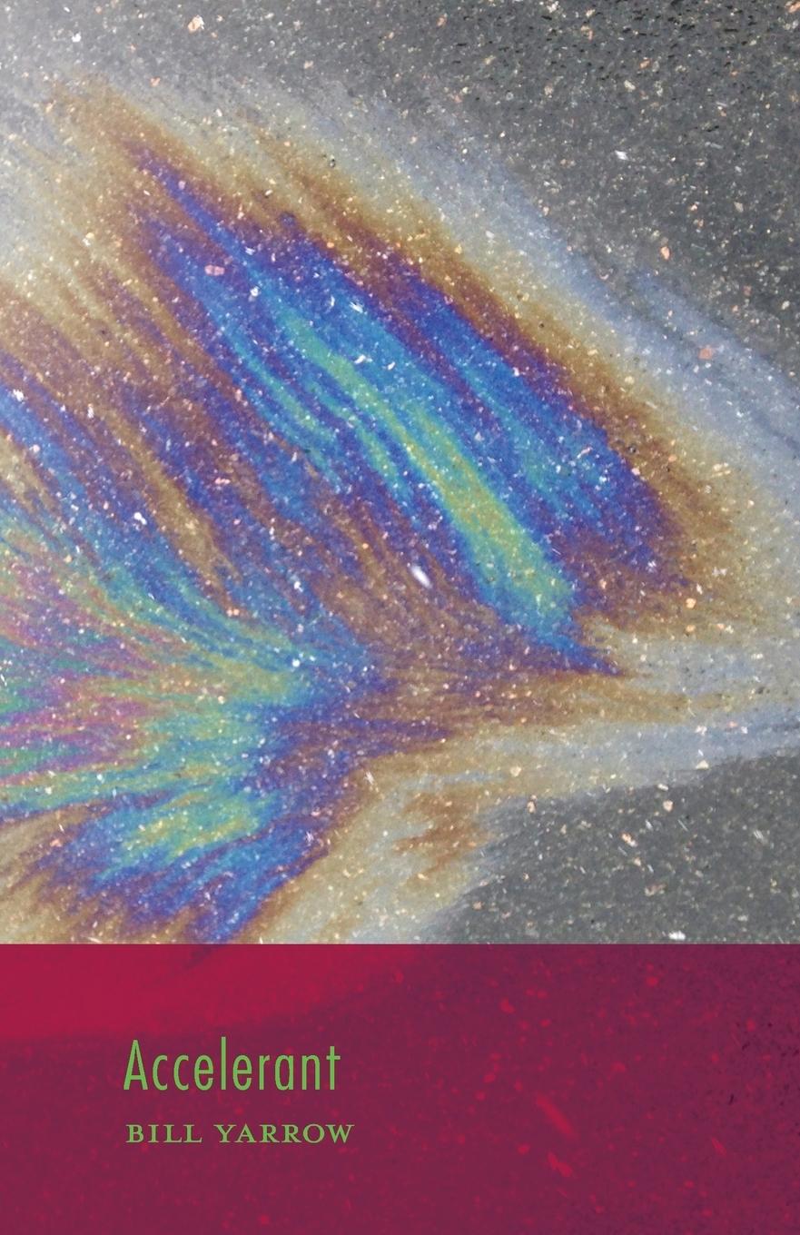 Vorderes Coverbild Accelerant