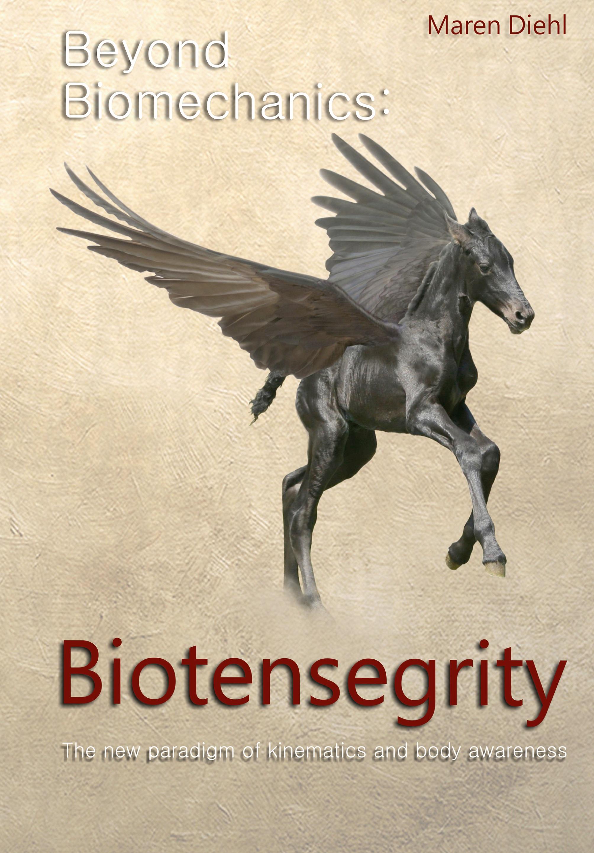 Vorderes Coverbild Beyond Biomechanics - Biotensegrity