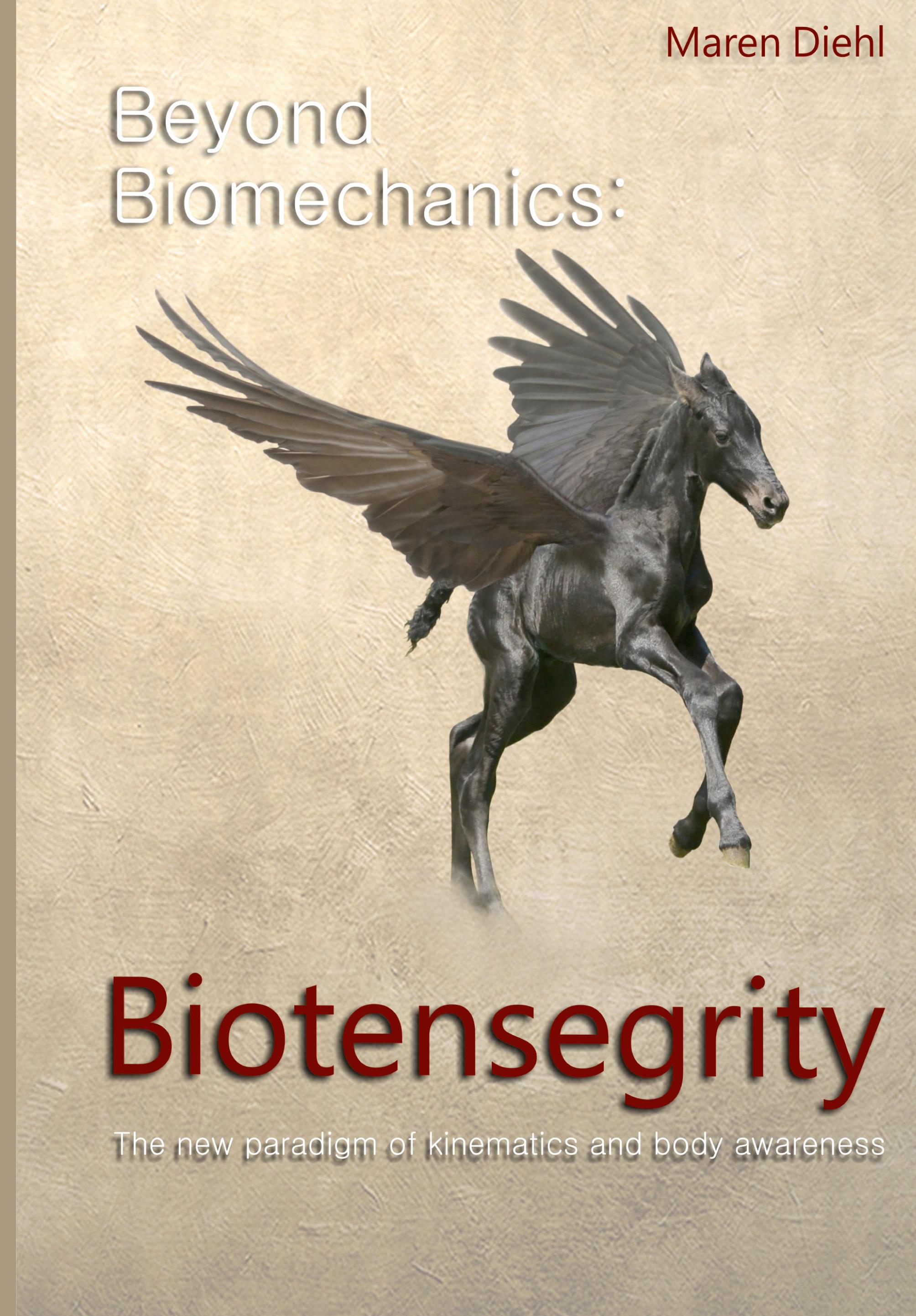 Vorderes Coverbild Beyond Biomechanics - Biotensegrity
