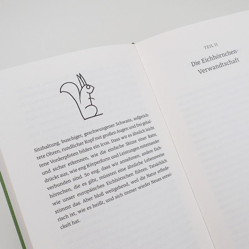 Beispielinhalt (Bild) Das Leben der Eichhörnchen