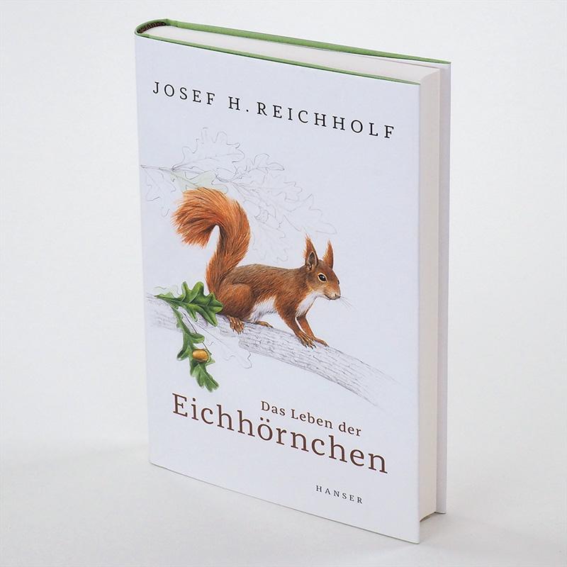 Beispielinhalt (Bild) Das Leben der Eichhörnchen