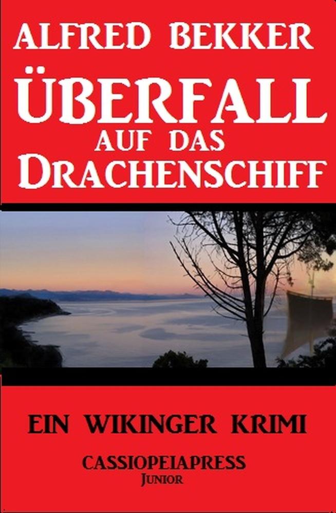 Vorderes Coverbild Überfall auf das Drachenschiff