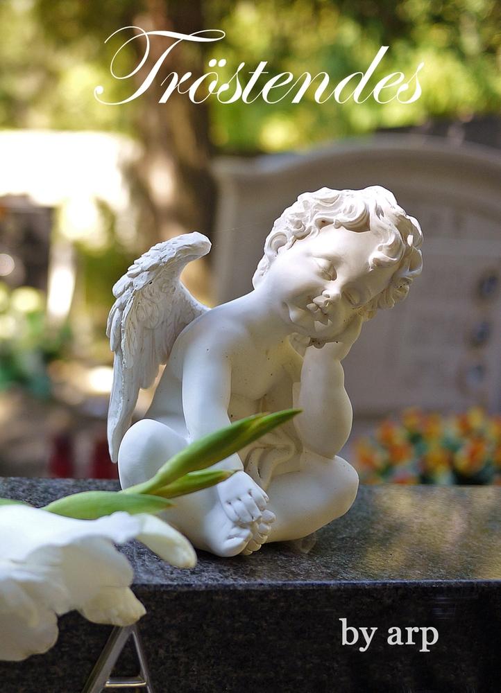 Vorderes Coverbild Tröstendes