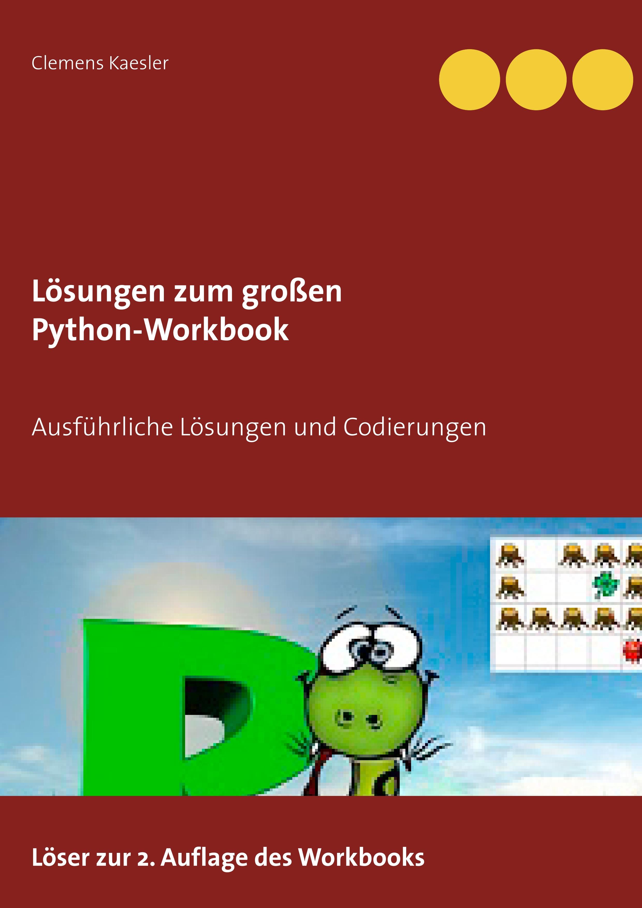 Vorderes Coverbild Lösungen zum großen Python-Workbook