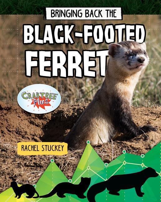 Vorderes Coverbild Bringing Back the Black-Footed Ferret