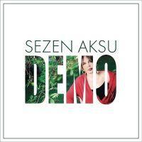 Vorderes Coverbild Demo