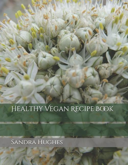 Vorderes Coverbild Healthy Vegan Recipe Book