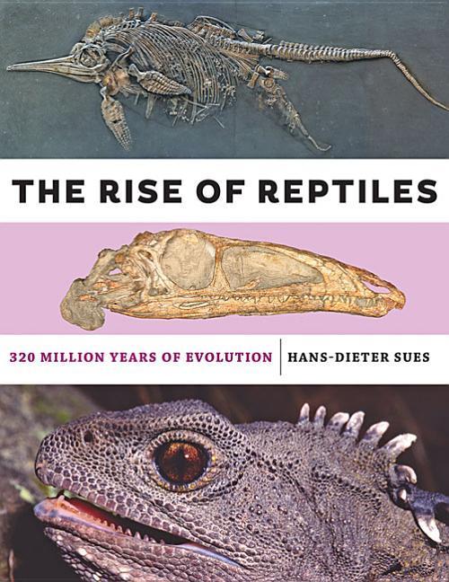 Vorderes Coverbild The Rise of Reptiles